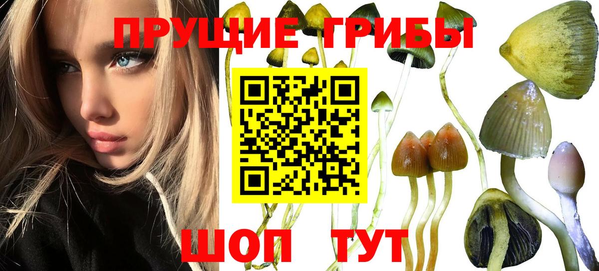 Псилоцибиновые грибы Magic Shrooms  Вход с VPN  Псилоцибиновые грибы прущие грибы  Фурманов 