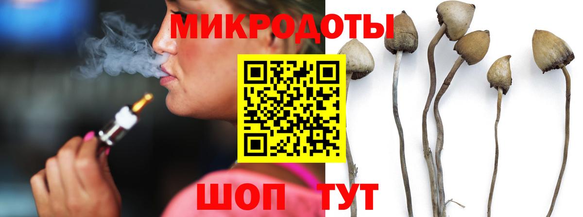 Галлюциногенные грибы Psilocybine cubensis Фурманов